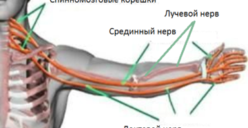 Боли в левой части грудной клетки, плече, онемение левой руки и пальцев