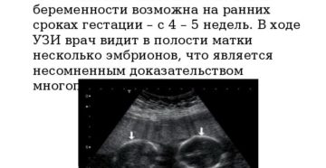 Эхографическое исследование в ранние сроки беременности