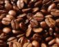 Coffea cruda (Кофе, сырые кофейные зерна)