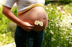 Фитотерапия во время беременности