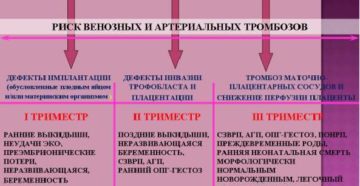 Эко при наследственной тромбофилии